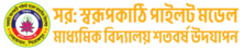 Swarupkati_Pilot_100
